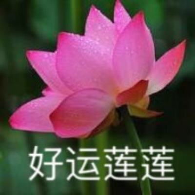 动物江湖锲子英雄传测试服下载